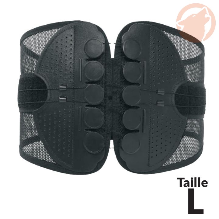 Ceinture lombaire - maintien dorsal ajustable - taille L - KERWOOD