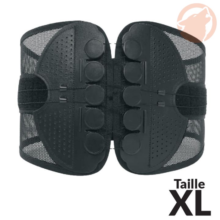 Ceinture lombaire - maintien dorsal ajustable - taille XL - KERWOOD