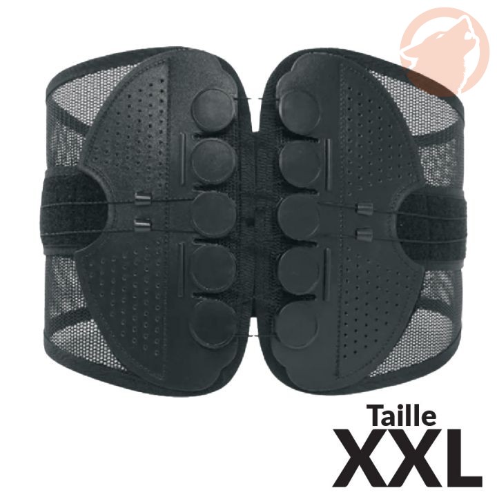 Ceinture lombaire - maintien dorsal ajustable - taille XXL - KERWOOD